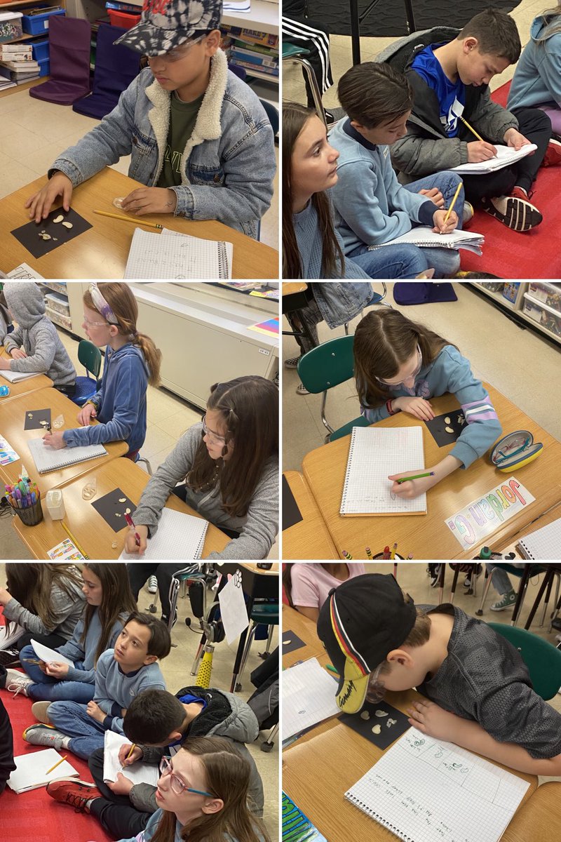 Katie Vaccarino tweet media