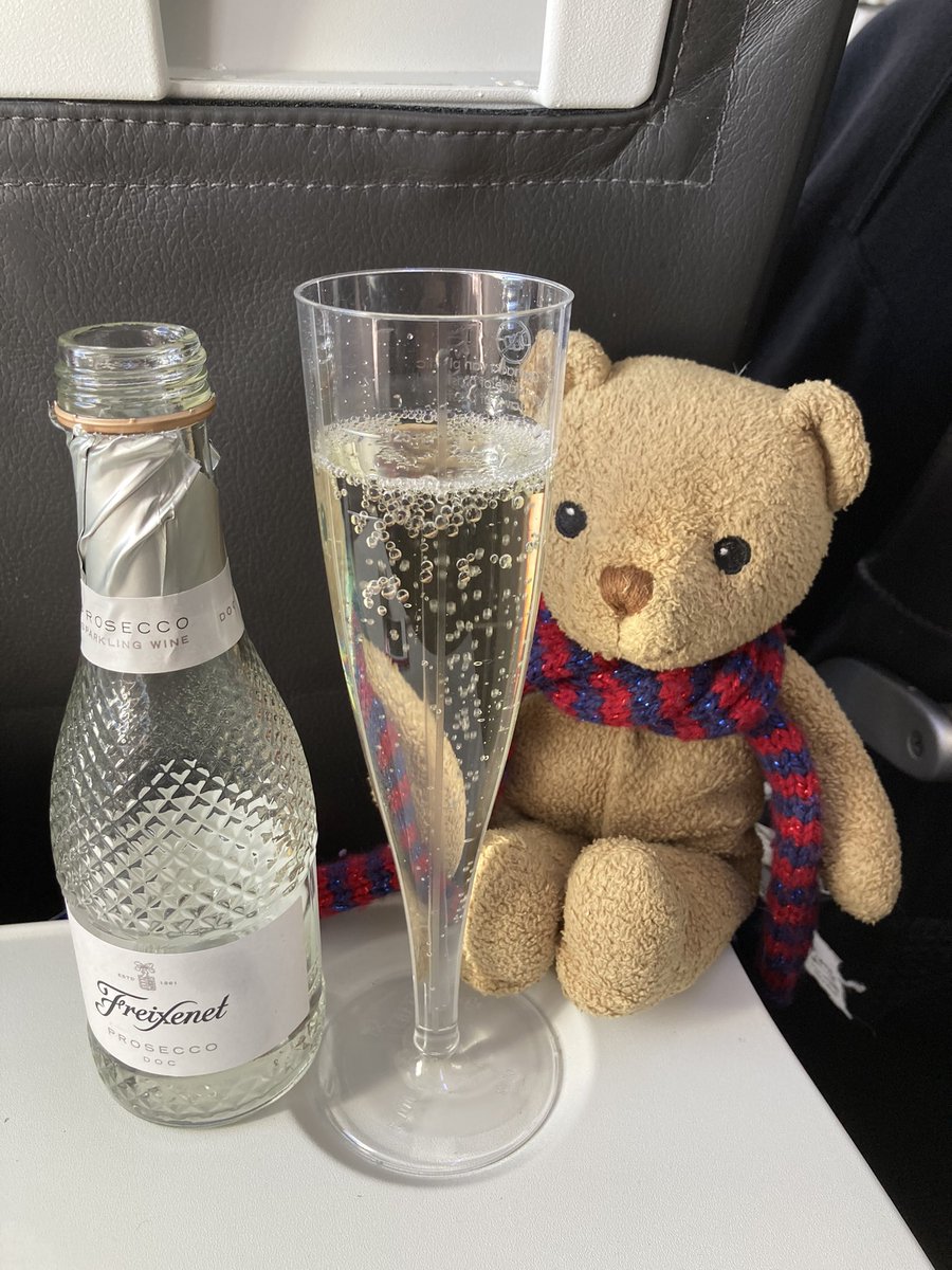 PaddyBBear's tweet photo. Thanks so much @British_Airways 
You can’t beat it when you have a glass of Prosecco nearly as tall as you! https://t.co/92Sn28MuK6