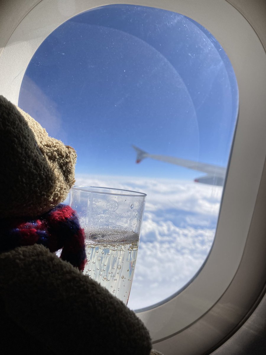 PaddyBBear's tweet photo. Thanks so much @British_Airways 
You can’t beat it when you have a glass of Prosecco nearly as tall as you! https://t.co/92Sn28MuK6