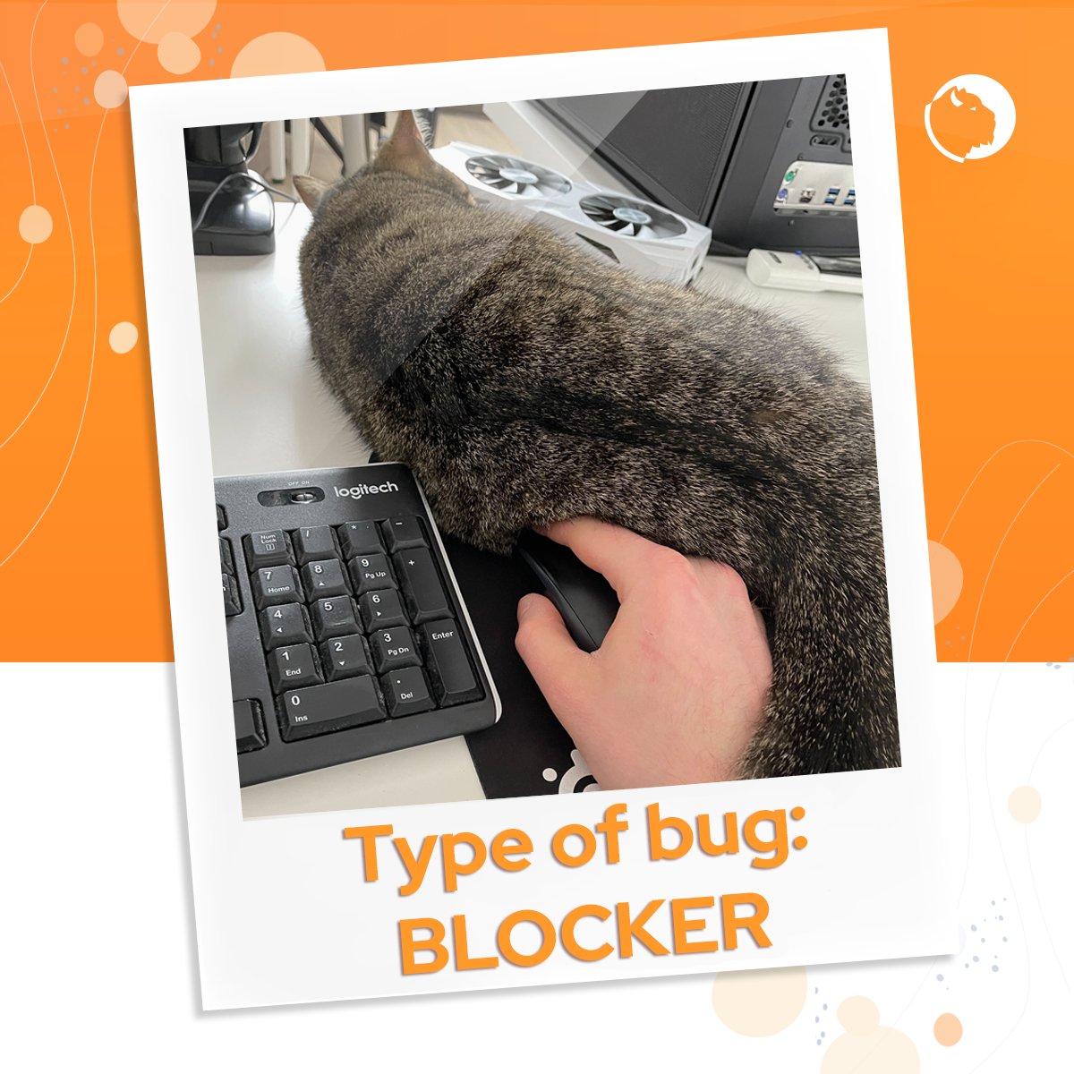 🛠 Making games is a challenge, and the worst challenge you can encounter are bugs. From the most trivial ones to the absolute worst kinds: the Blockers. They need to be attended to as soon as possible!
#cat #gamedev #Blocker #friday #funny #gamedevlife #gamedeveloper #catlovers