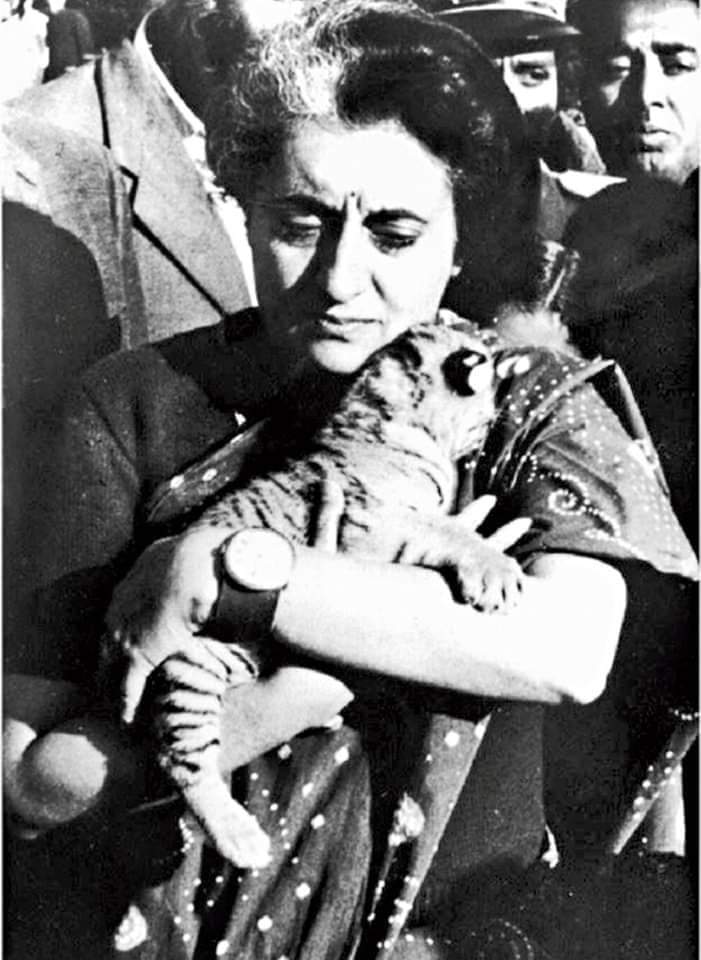 HarshiteshwarT's tweet photo. शेरनियों के वारिस शेर ही कहलाते है।

डरो मत... https://t.co/Hf9sF4BXo4