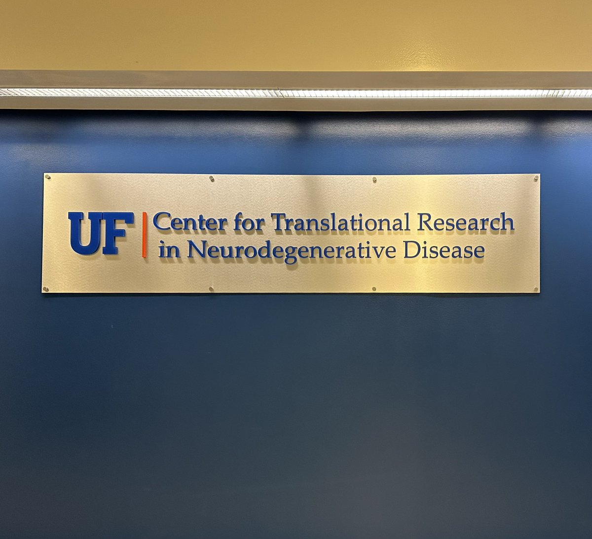 tris_garza's tweet photo. Finally, after the rotation process, I have signed with a lab! I’m officially a marine biologist in a neurodegenerative lab for my PhD. What a world. I’m so excited. #UFGI https://t.co/63mLwylU2r