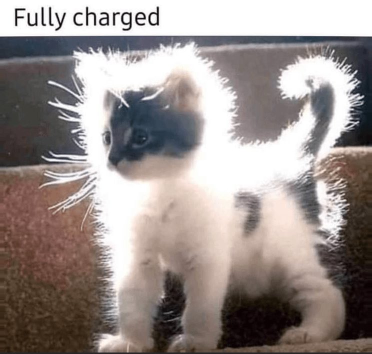 GoofyKittys's tweet photo. Maximum power ⚡️ https://t.co/4WA4tv9PIt