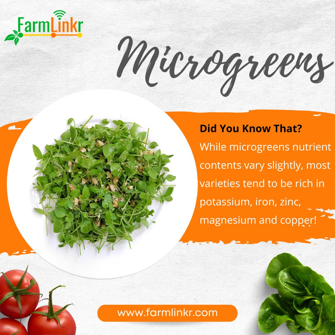 FarmLinkr's tweet photo. Did you know this fact? 
Tell us below! 
. . . 
Grab Microgreens now at: 
📍General Foods, Liguanea 
📍Megamart, Waterloo Road 
📍Hi-Lo Barbican, Liguanea and Portmore 
📍Select Grocers: Manor Park and May Pen
. . .
#farmlinkr #linkingyou #tolocalfarmers #hasselfree #microgreens https://t.co/TQ4SLi8QvN