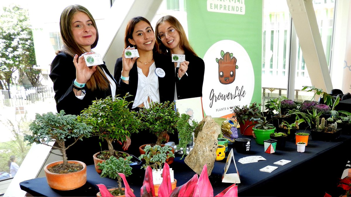 FundacionCTA_'s tweet photo. Al adoptar tu kit de árboles te premiaremos con ecopuntos.
.
.
.
#premio #ecopuntos #puntos #ganador #arboles #winner #responsabilidadempresarial #adoptaunarbolsoyvida #ganadora #concurso #siembra #sembraton https://t.co/VeRlp1MqIU