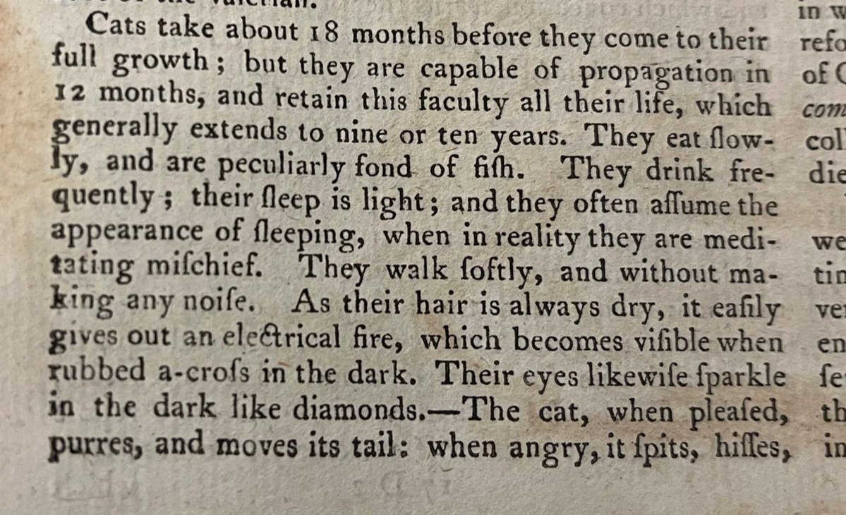 Queens' Library (@queens_lib) on Twitter photo We think the writer of this entry for 'the tame and domestic cat' in the second edition of the Encyclopaedia Britannica (1779) must have been a cat owner... 🐱
"In a word, the cat is totally destitute of friendship; he think and acts for himself alone." We think the writer of this entry for 'the tame and domestic cat' in the second edition of the Encyclopaedia Britannica (1779) must have been a cat owner... 🐱
"In a word, the cat is totally destitute of friendship; he think and acts for himself alone."