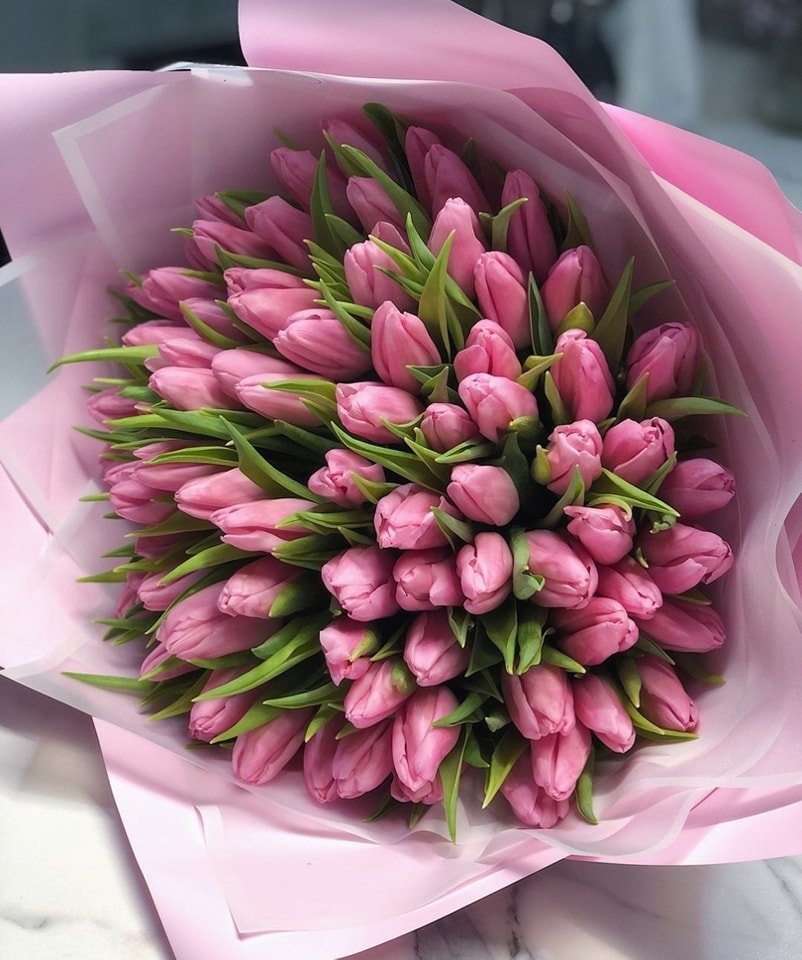 pink tulips