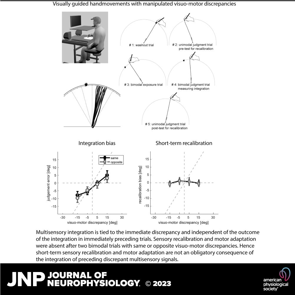 JNeurophysiol's tweet photo. ๐ง New in #JNeurophysiol โกShort-term effects of visuomotor discrepancies on #multisensory integration, proprioceptive recalibration, and motor adaptation by Christoph Kayser (@NeuroKayser) et al.
๐ฑ https://t.co/ezT2MtxspH
#HandMovement #crossmodal #aftereffect #generalization https://t.co/YI6cxaaaZZ