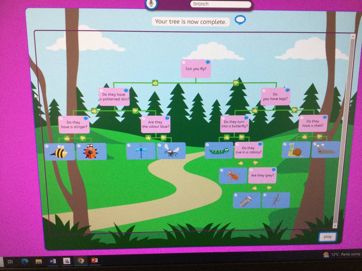 HBJSCH63's tweet photo. This afternoon, 3R have been organising habitat data using  data-branch software! #HBJSComputing https://t.co/239PJCFCEK