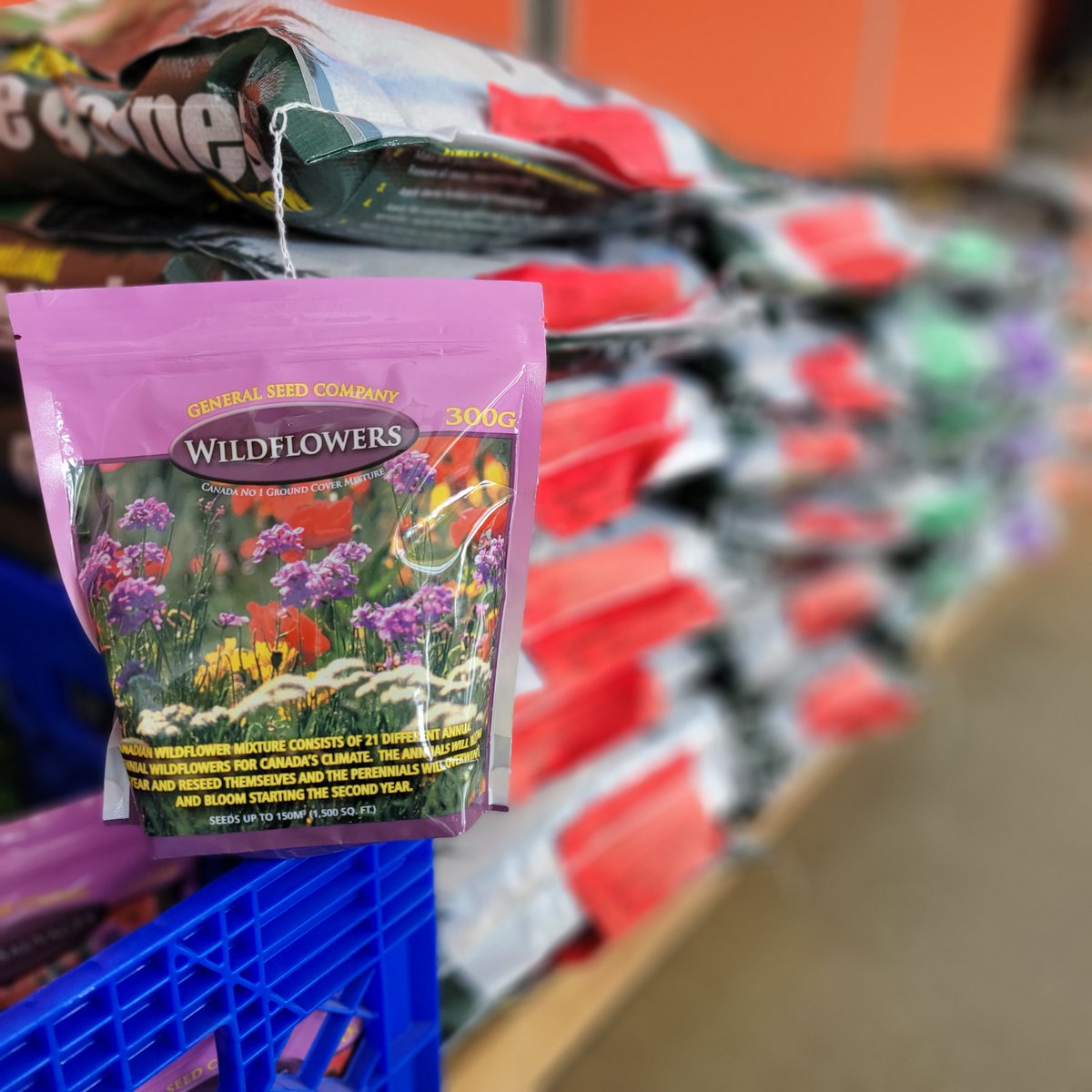 SolacityInc's tweet image. Solacity just received a large shipment of super-fresh premium quality grass seed mixes, so there's no time like the present to finally make the grass always greener on your side. 
@SolacityInc #solarenergy #solarpower #SOLAR