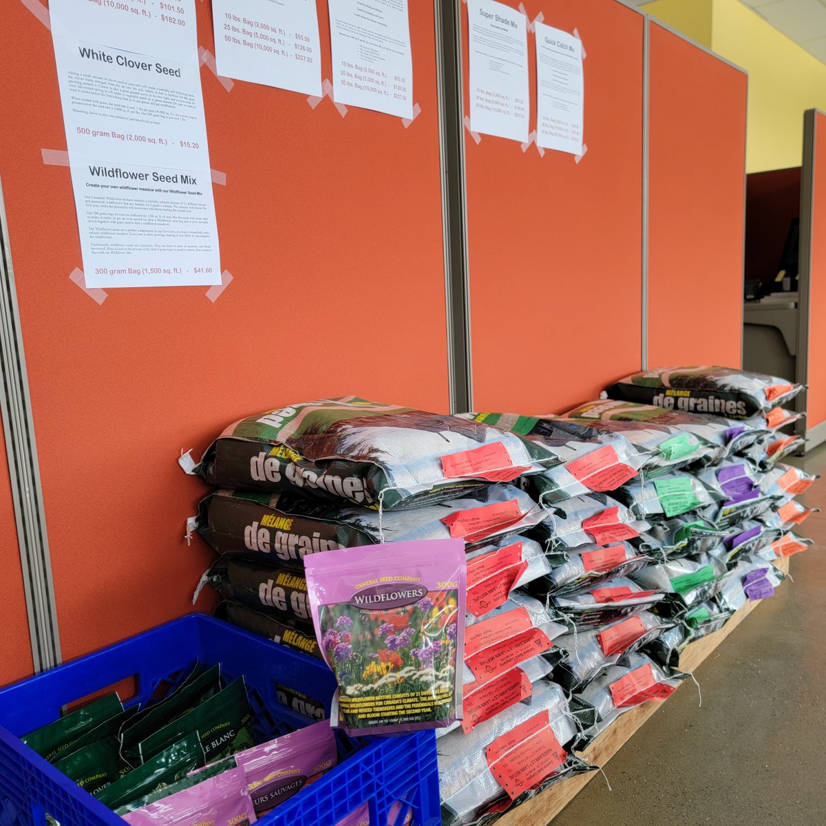 SolacityInc's tweet image. Solacity just received a large shipment of super-fresh premium quality grass seed mixes, so there's no time like the present to finally make the grass always greener on your side. 
@SolacityInc #solarenergy #solarpower #SOLAR