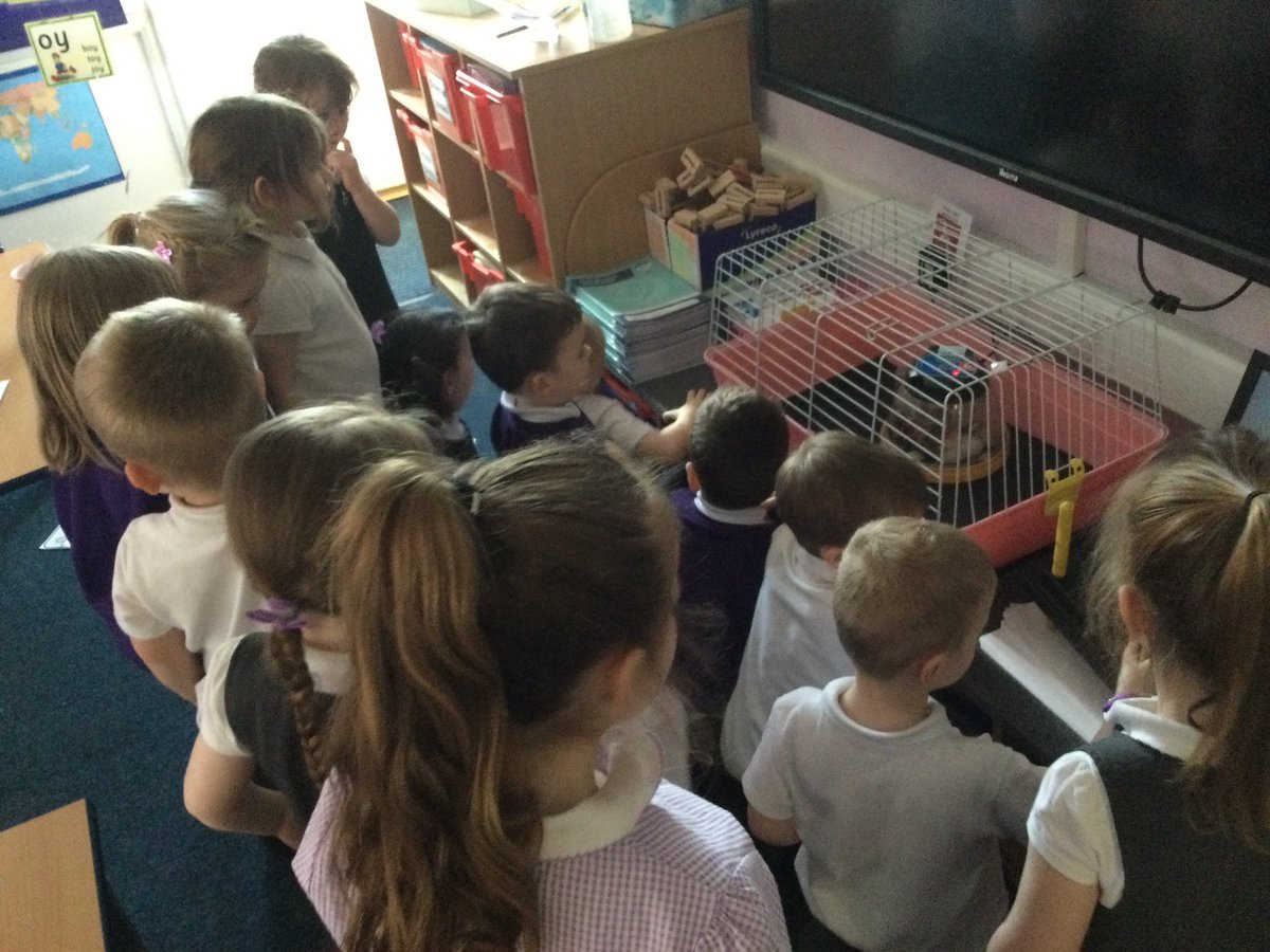 GarswoodNursery tweet media