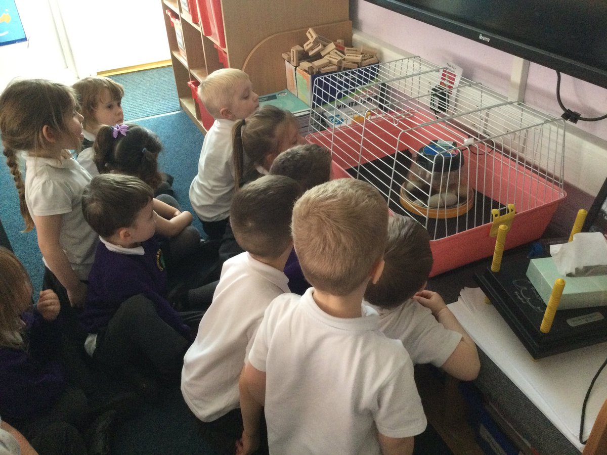 GarswoodNursery tweet media