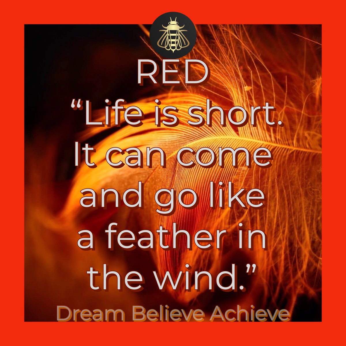 👸Queen B🐝 (@qu33nb57) on Twitter photo RED FRIDAY
#Respect
#DreamBelieveAchieve
<a href="/armygrljessy/">Jessy Patino</a>
<a href="/MccalvinNina/">SIERRA4 (Ready for the Rapture!)</a>
<a href="/ColinMichelle97/">Colin&Michelle97</a>
<a href="/JP_Rantz/">🇺🇸🗽 JP Rantz 🗽🇺🇸</a>
<a href="/RSKellner/">Scott Kellner 🔱 Navy 🔱</a>
<a href="/JosephBlough15/">Joseph Blough</a>
<a href="/drgnwolf2/">Joe</a>
<a href="/MRedPilld/">Mike, Constitutionalist Veteran</a>
<a href="/glorytotheboys/">Dave Allen</a>
<a href="/JVER2ME/">JoyceV</a>
<a href="/F4tUS/">ConnSCG Fight For America® ⭐⭐⭐</a>
<a href="/JohnMar84463423/">Angry🇺🇸Veteran</a>
<a href="/Scobra642/">🇺🇸⚓️🇺🇸PROUD NAVY VET🇺🇸⚓️🇺🇸</a>
<a href="/BrianSi91342419/">Brian Simon</a>
<a href="/don_bav/">U.S. Navy Veteran</a>
<a href="/simioaks/">Dr.Fed</a>
<a href="/mil_vet17/">RetMilVet17</a>
@angelalma10
<a href="/45TXJACK/">Texas Jack</a> RED FRIDAY
#Respect
#DreamBelieveAchieve
<a href="/armygrljessy/">Jessy Patino</a>
<a href="/MccalvinNina/">SIERRA4 (Ready for the Rapture!)</a>
<a href="/ColinMichelle97/">Colin&Michelle97</a>
<a href="/JP_Rantz/">🇺🇸🗽 JP Rantz 🗽🇺🇸</a>
<a href="/RSKellner/">Scott Kellner 🔱 Navy 🔱</a>
<a href="/JosephBlough15/">Joseph Blough</a>
<a href="/drgnwolf2/">Joe</a>
<a href="/MRedPilld/">Mike, Constitutionalist Veteran</a>
<a href="/glorytotheboys/">Dave Allen</a>
<a href="/JVER2ME/">JoyceV</a>
<a href="/F4tUS/">ConnSCG Fight For America® ⭐⭐⭐</a>
<a href="/JohnMar84463423/">Angry🇺🇸Veteran</a>
<a href="/Scobra642/">🇺🇸⚓️🇺🇸PROUD NAVY VET🇺🇸⚓️🇺🇸</a>
<a href="/BrianSi91342419/">Brian Simon</a>
<a href="/don_bav/">U.S. Navy Veteran</a>
<a href="/simioaks/">Dr.Fed</a>
<a href="/mil_vet17/">RetMilVet17</a>
@angelalma10
<a href="/45TXJACK/">Texas Jack</a>
