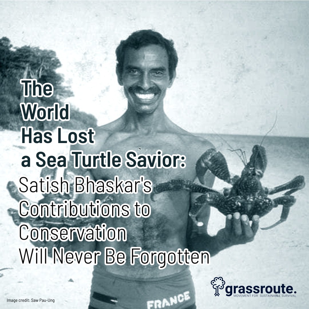 Satish Bhaskar, born in #Cherai, Kochi, devoted his life to sea turtle biology and conservation in India. His legacy will continue to inspire generations. Rest in peace. #RememberingSatishBhaskar #SeaTurtleConservation #IndiaWildlife #RIP.