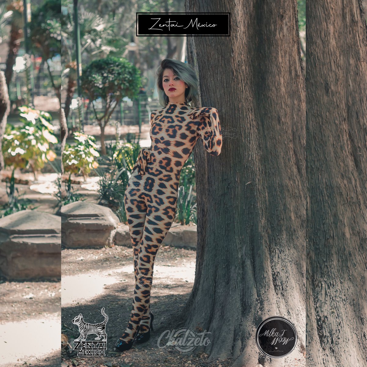 ZENTAIMEXICO's tweet photo. 🍃🍃🍃 visual 🍃🍃🍃

Modelo : 
0.0srta.esquizofrenia 

Fotografía: 
@ckalzeto 

#zentai #zentaisuit #zentaigirl #zentaiart #zentaimexico #zentaimodel #models #modelos #fotografia #elegancia #elegante #newiconmodels #ciudaddemexico🇲🇽 https://t.co/j5XZErByNY