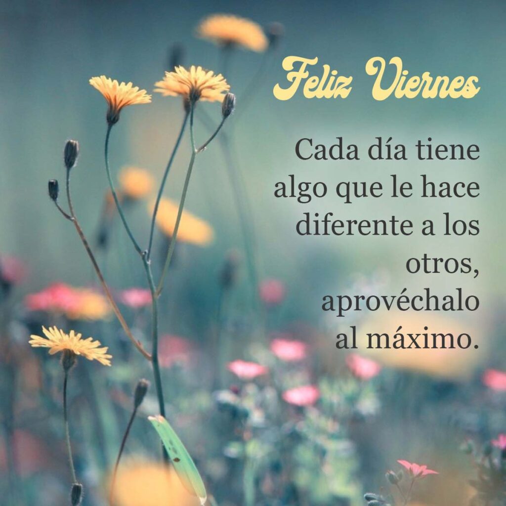 Motivosentuvida's tweet photo. Que tengas un excelente día!
#FelizViernes https://t.co/MzAANAaQHg