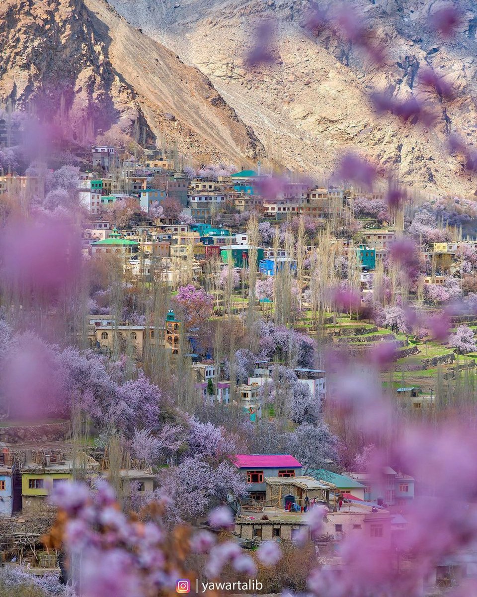 Indusland_'s tweet photo. Spring. Skardu, Pakistan. https://t.co/alYK2tRp5G