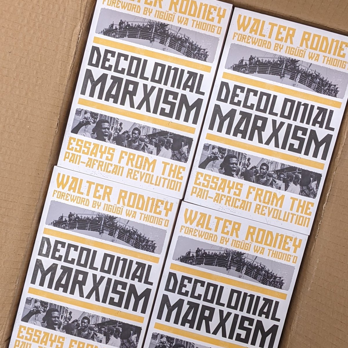 Massive Bookshop tweet media