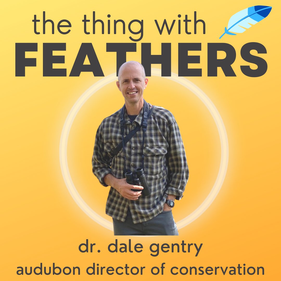 courtneyellis's tweet photo. Did you know that science and faith aren't enemies? It's true!

This week on #TheThingWithFeathersPod we're joined by @DaleGentryMN, regional director for the Audubon Society, to talk all things birds and hope.

Plus: Lewis's woodpeckers!

https://t.co/pjabi0eqzU https://t.co/VUbn0BFqPH