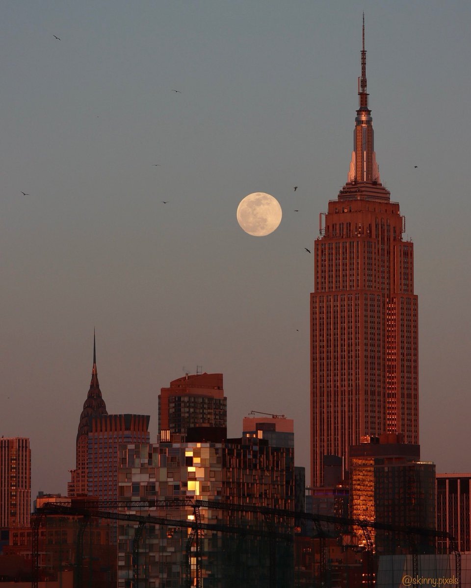 skinnypixels's tweet photo. You’re so golden ❤️🌇📸🌕
New York City 📍
https://t.co/hOecBrA5fV 👩🏻🦰
#empirestatebuilding #esbfan #empirestatebldg #empirestateofmind #chryslerbuilding #chryslerbuildingnyc #wormmoon #moonrisenyc #ilovenyc #raw_newyorkcity #raw_ireland #raw_community #usaexplores https://t.co/y08Wa6N1Bx