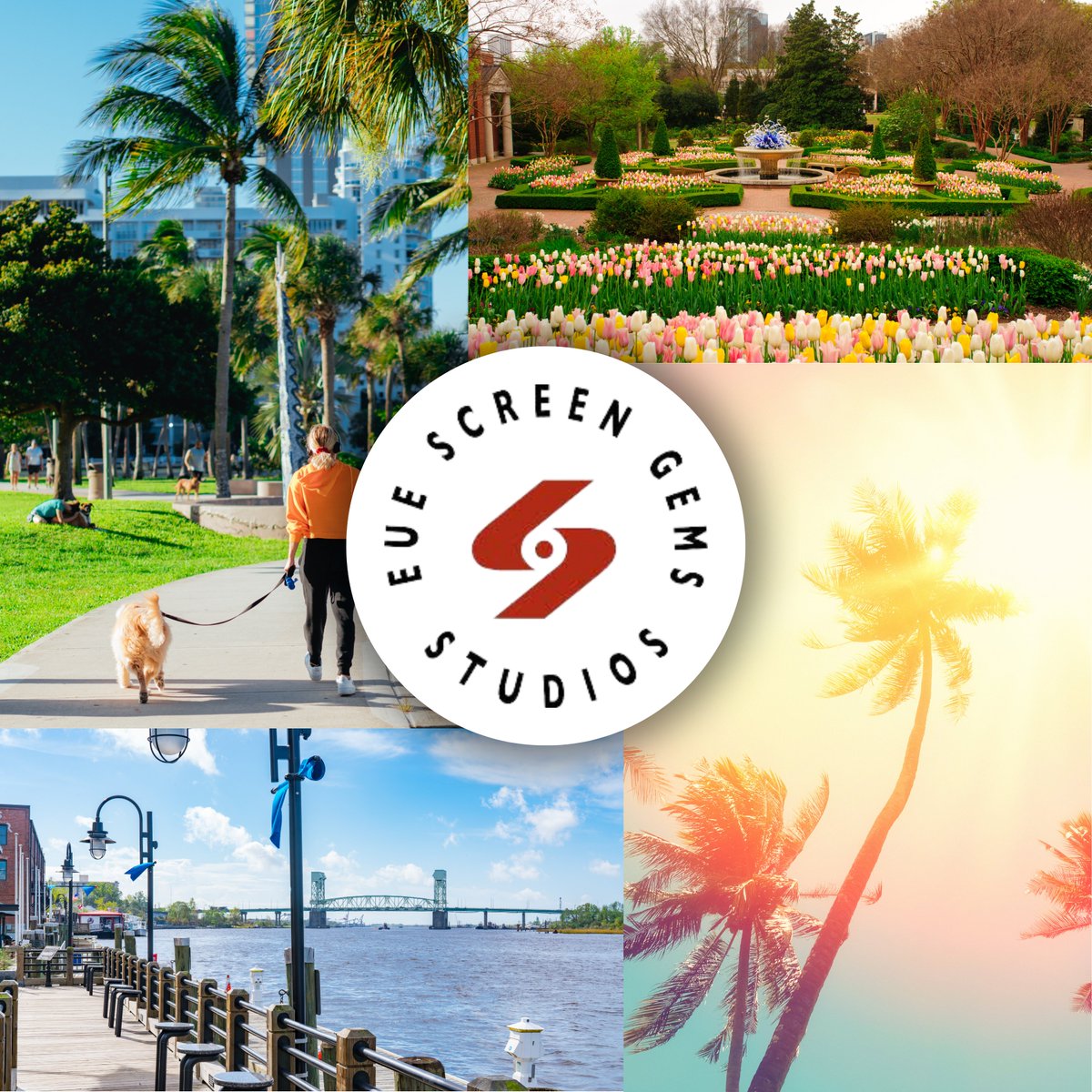 EUE / Screen Gems tweet media