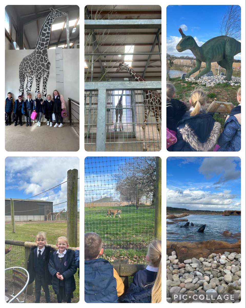 Y1_TheMill's tweet photo. We’ve had such a good day! @YorkshireWP https://t.co/17RYKhQUpU
