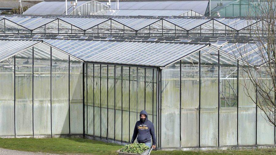 KBurgerDirven's tweet photo. Uitbuiting van 🇺🇦ontheemden in 🇳🇱. Misstanden en wurgcontracten door o.a. het Poolse #Janpol. Belangrijk dat 🇳🇱 Arbeidsinspectie ingrijpt. De 🇺🇦 ontheemden zijn op de vlucht en zijn kwetsbaar. Dank @NOS @rhoorntje om dit aan te kaarten. @ukrainians_nl 👉https://t.co/VR0u16bqBo /1 https://t.co/EH228FaAA5