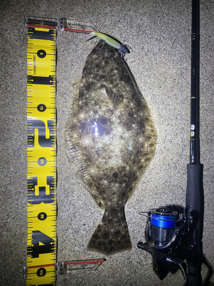 seabass_hirame's tweet photo. ヒラメ
#今年やけにヒラメ調子いい
#SM75
#ストライクヘッド
#22ステラ3000MHG
#22STELLA3000MHG
#ヤマガブランクス
#YAMAGABlanks
#EarlyPlus96m https://t.co/LFEtF1k5Hj