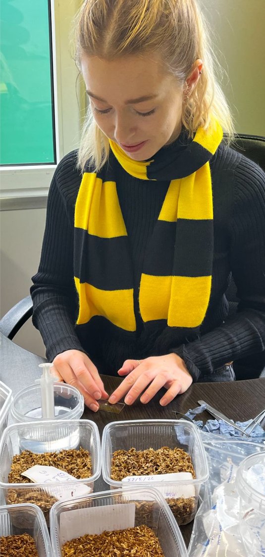 insectdoctors's tweet photo. 3 ESRs just completed a 1-week internship with the R&amp;D team at Ynsect (NL). A big goal is to generate a molecular based monitoring approach for gregarines which are present in their rearing. Thank you Natasja, Koen, and Niek  for the successful week!🪲🧬🔬 https://t.co/HJHeQrrRCk