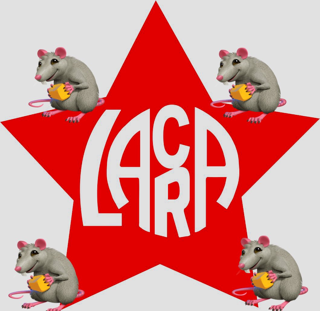 ALFONSO57820023's tweet photo. FELICITACIONES AL AUTOR DE ÉSTE MEME, LO DICE LA VERDAD https://t.co/ZL8p6I0uAy
