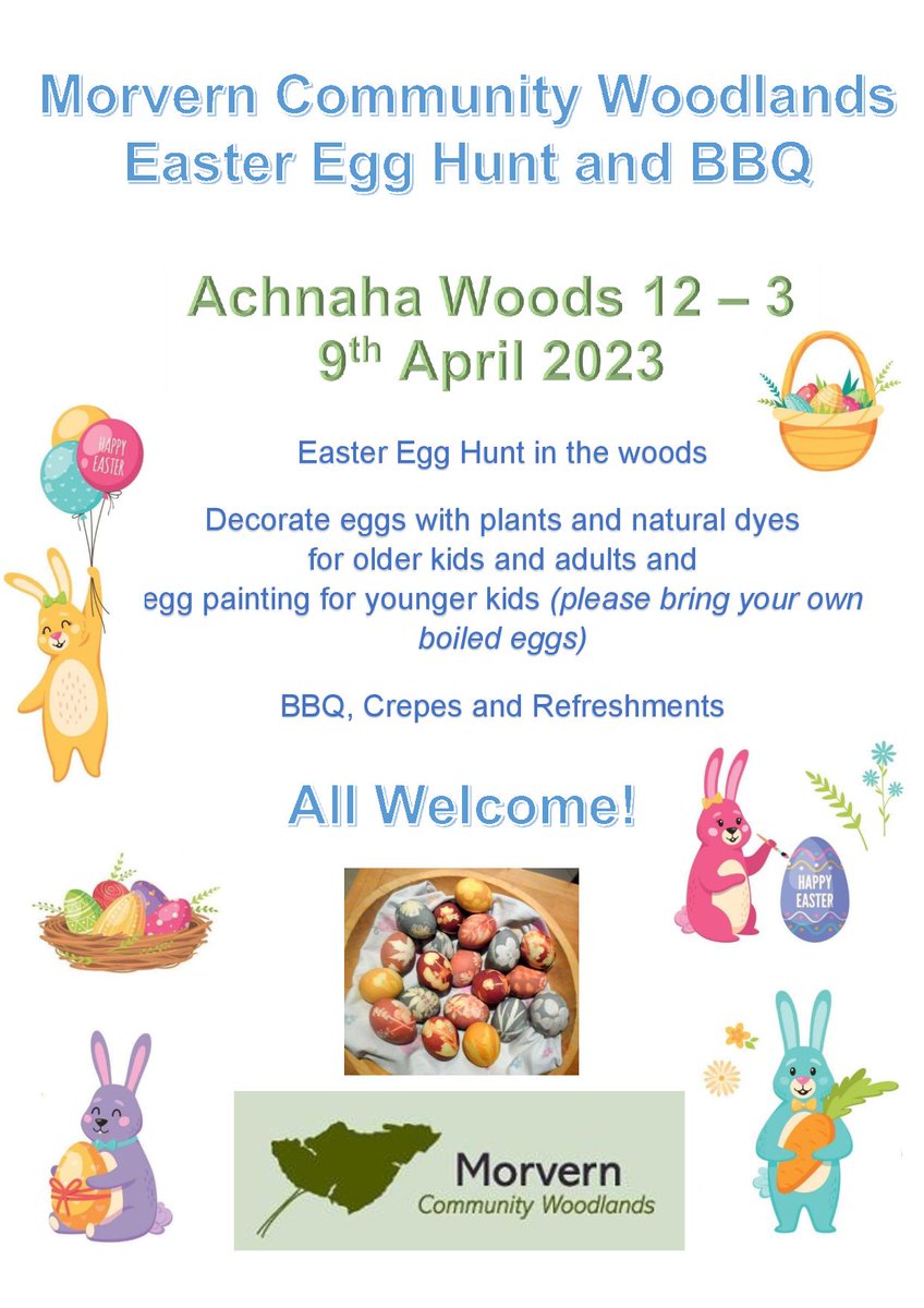 Morvern Community Woodlands (@ourmorvernwoods) on Twitter photo 