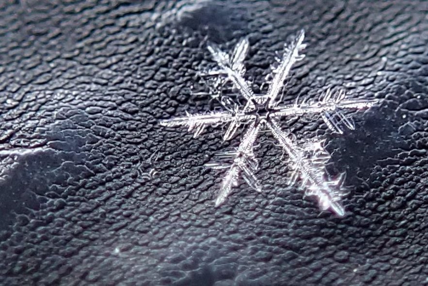 I am happy to report that this snowflake, Jeffrey, that I just caught is the official record breaking flake. Utah now has its ALL-TIME DEEPEST SNOWPACK!