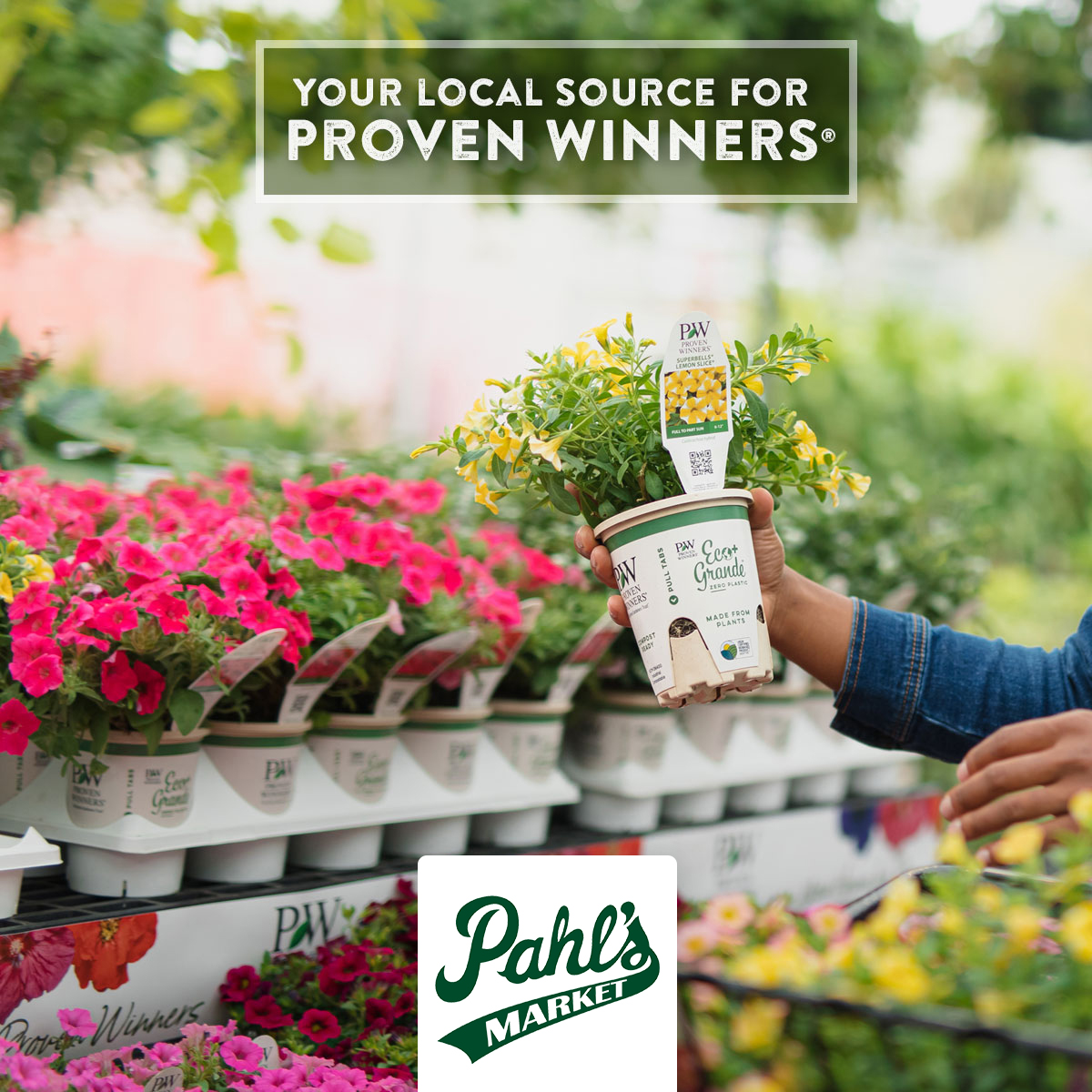 This summer stock up on the freshest selection of Proven Winners plants in MN at Pahl's Market. Your garden will thank you! #PahlsMarket #ProvenWinners #shoppahlsmarket