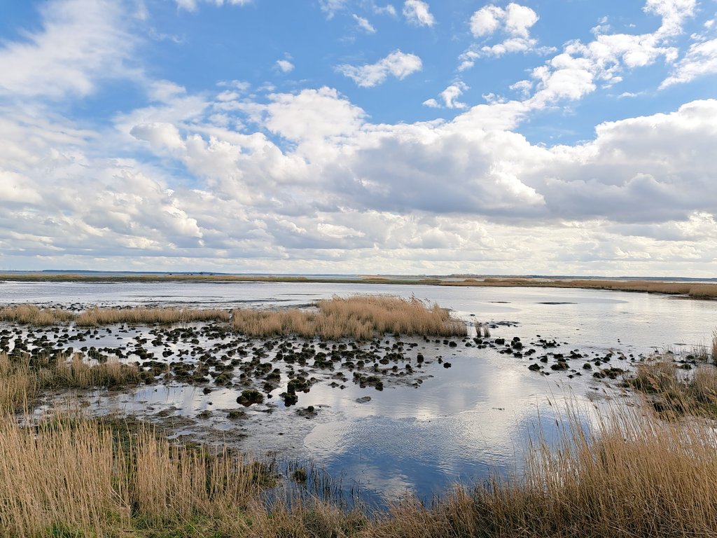IRTG_Peripeties's tweet photo. Landscape peripety: from potato farmland to renaturalised peatland as 'side effect' of East German pol. change @IFZO_Greifswald #thinkrural insightful conf. excursion to Karrendorfer Wiesen today https://t.co/GzIFaG0GgR
