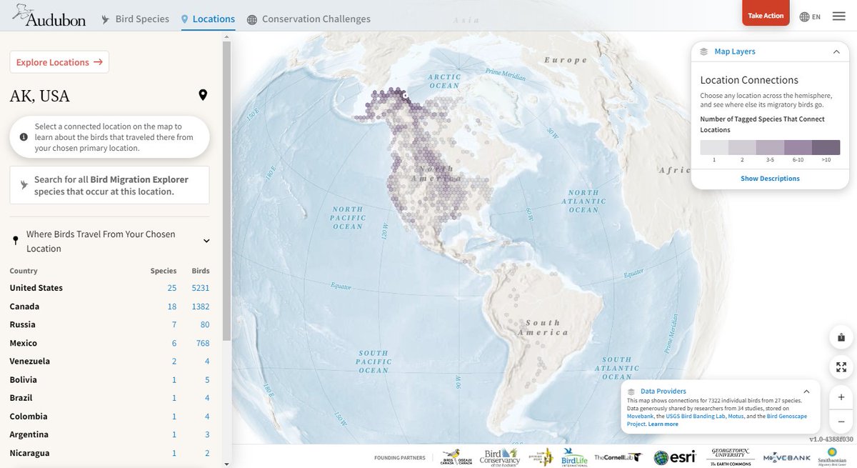 knighterikaj's tweet photo. Part of the approved drilling will occur in the Teshekpuk Lake Special Area. Using the Bird Migration Explorer, you can see that migratory birds travel from this important place all across the entire United States and even to southern South America.
https://t.co/HVfnb2Fp1E https://t.co/t3HW93xH8z