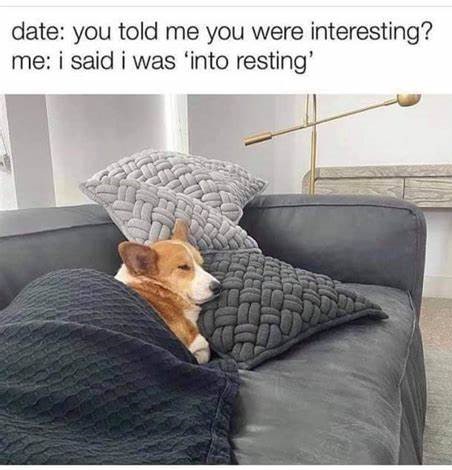 HealthySol4Pets's tweet photo. 😴😂
Whether you're interesting or into resting, make some time this #weekend to shop for your favorite Healthy Solutions for Pets products for your 🐶 or 🐱! https://t.co/JdFz60FEOB

#dogs #cats #shopping #dogsoftwitter #lol https://t.co/tSlXUtCNH3