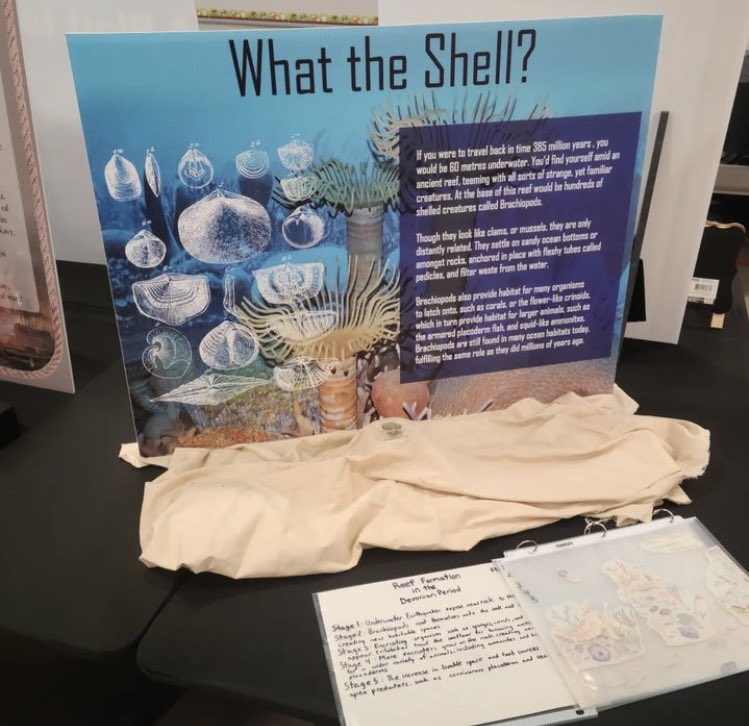 MMC_Students's tweet photo. A shell fossil! https://t.co/yqeSolL8tb