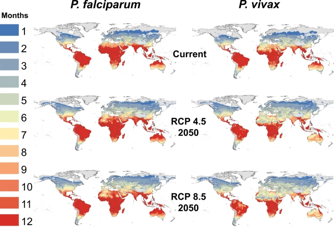 Read an article, '#Mapping current and future thermal limits to suitability for #malaria transmission by the invasive mosquito #AnophelesStephensi'
malariajournal.biomedcentral.com/articles/10.11…