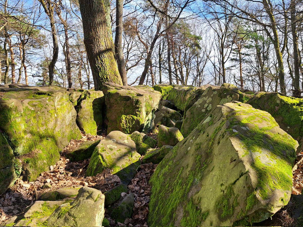 AtlanticLover65's tweet photo. Friday afternoon walk #Pfälzerwald #MyPeakChallenge #GermanPeakers #WalkingPeakers https://t.co/ROYTfB9uM6