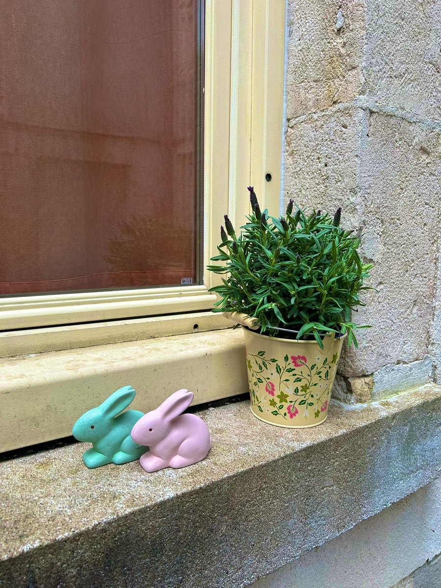 ClorddeWinter's tweet photo. #desfleursdesfleurspartout #fleurs #printemps #pâques #culcul #lavandepapillons #pinpins 
Merci Aldi, Søstrene Grene, Tout à deux euros. 😌
🐰🐣🥚🌸 https://t.co/vKYWrIlOST