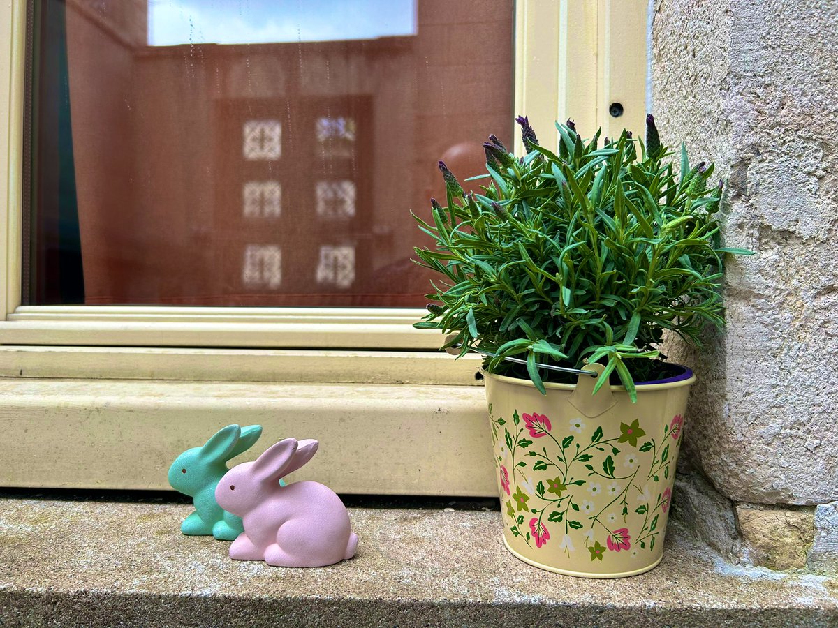 ClorddeWinter's tweet photo. #desfleursdesfleurspartout #fleurs #printemps #pâques #culcul #lavandepapillons #pinpins 
Merci Aldi, Søstrene Grene, Tout à deux euros. 😌
🐰🐣🥚🌸 https://t.co/vKYWrIlOST