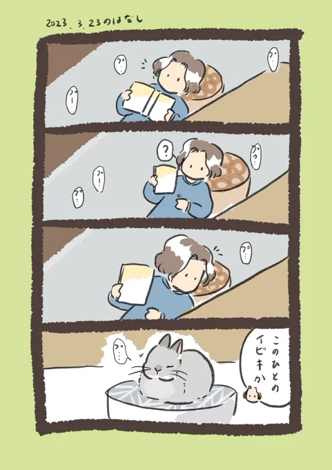 mother「自分のお腹鳴ってんのかと思った」

#うさぎのいる生活 

(※あまり頻繁にいびきをかくようなら検査を🐰🏥) 