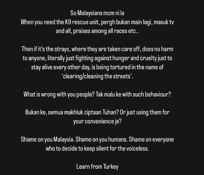 LokiniD's tweet photo. SHAME ON YOU!  @pjcitycouncil 

Will action be taken @anwaribrahim ?
What would be the plight of our strays?
#SaveOurStrays https://t.co/iX5HwlT4JT