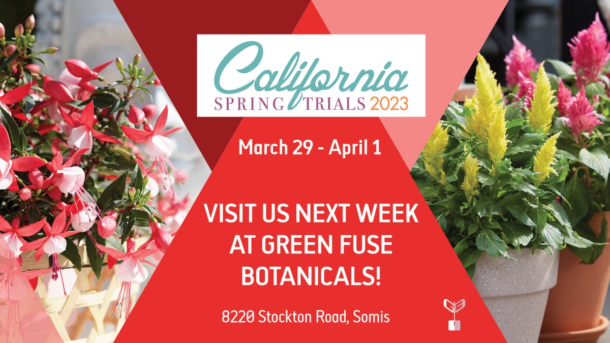Our North-American team warmly welcomes you at the California Spring Trials next week! 🌸 Visit us at Green Fuse Botanicals and have a look at our new and exciting products as LaBella Dahlia, Grace Pelargonium and Poinsettia Superstars! We can't wait to see you there 💚.
