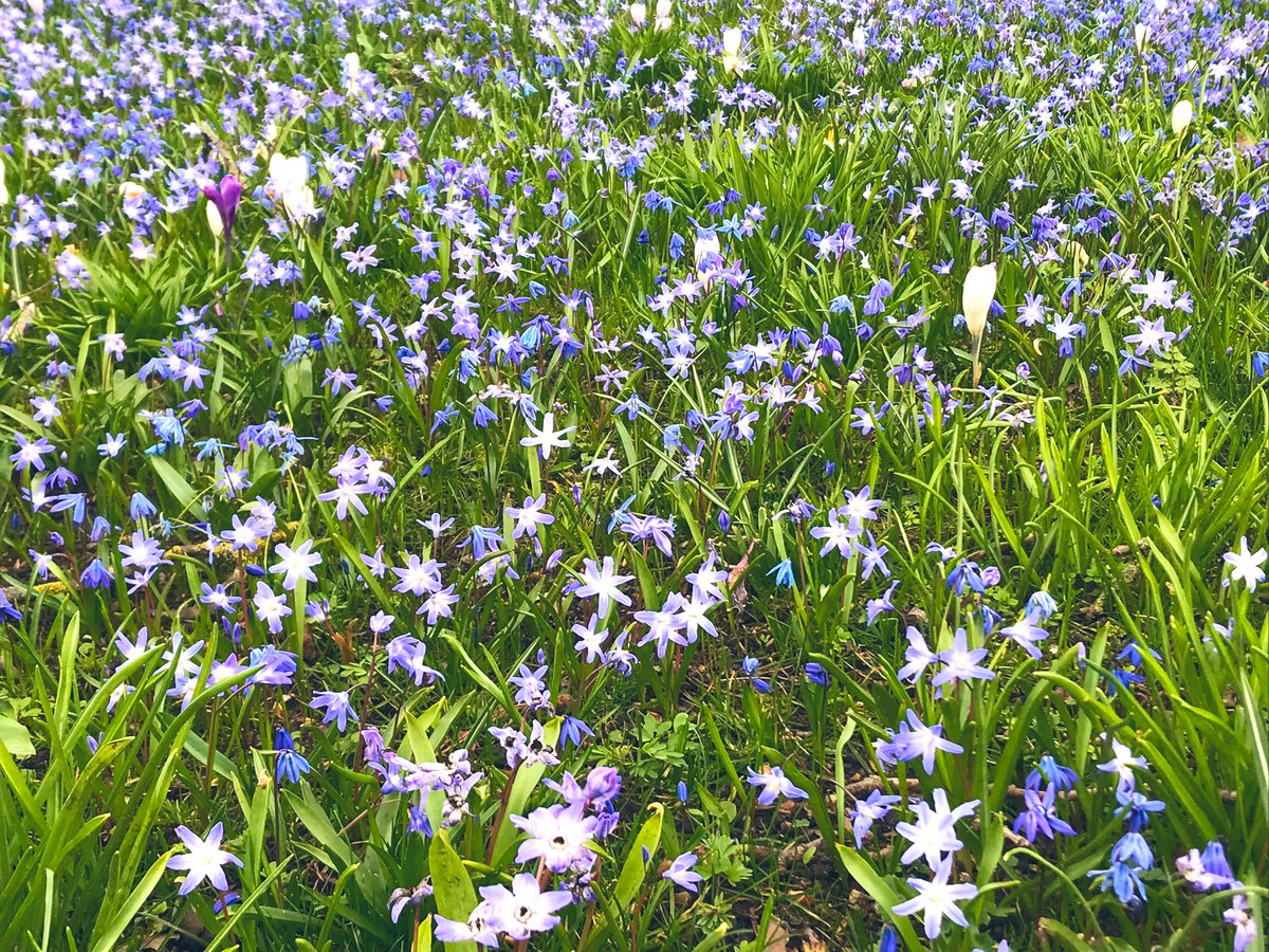 Spring