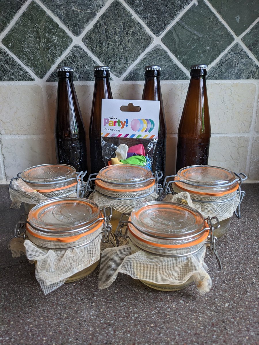All prepared for <a href="/midscraftbrew/">Midlands Craft Brewers</a> #wildyeast weekend.  Sanitised bottles and jars with mesh containing SG1030 20IBU wort, acidified to pH4.2.  Watch-out #nationalforest I'm coming to hijack your beasties.  Updates will follow.  #homebrew