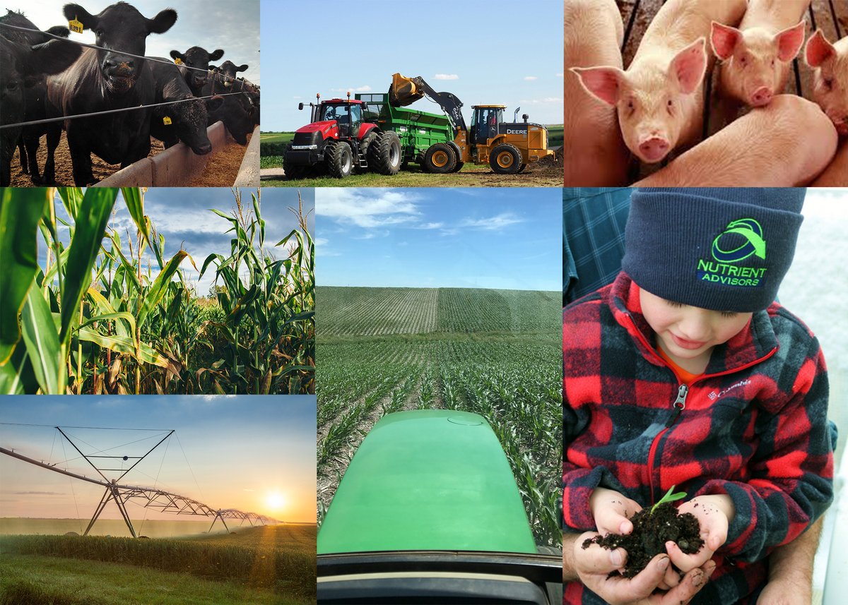 nutrientadvisor's tweet image. It&apos;s #NationalAgWeek! 🐄🚜🌱

The agriculture industry plays a huge role in all of our lives, and we want to say thank you to all those who work hard everyday to provide us with everything we need. We appreciate you!