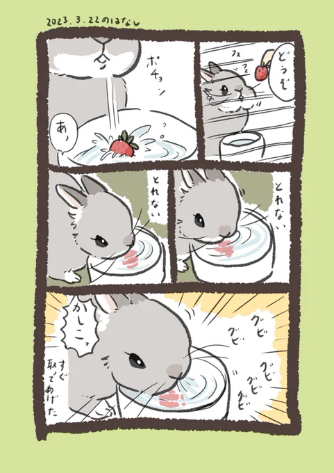 かんがえるうさぎ💡

#うさぎのいる生活 