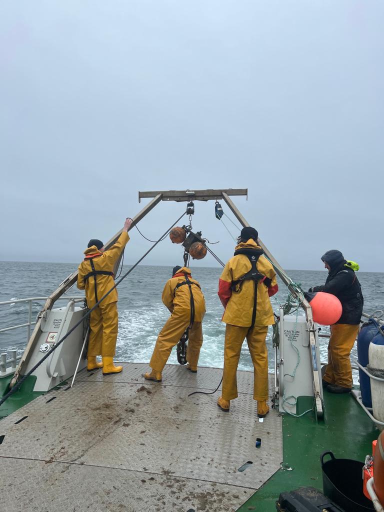 Earlier this week the Sussex IFCA team assisted researchers from the University of Plymouth with their routine FISH INTEL receiver maintenance. FISH INTEL is a cross-Channel partnership which uses underwater acoustic technology to monitor the movement of fish. #marineecology